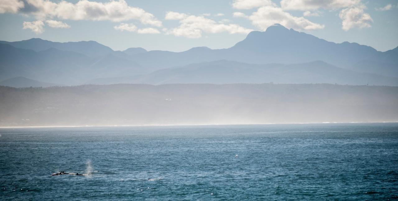 Panoramic Blue B&B Plettenberg Bay Ngoại thất bức ảnh