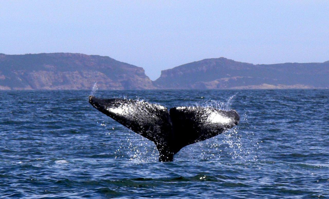 Panoramic Blue B&B Plettenberg Bay Ngoại thất bức ảnh